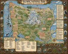145 Modern Day Pictorial Map of Olympic National Park Beautiful Wall Art picture