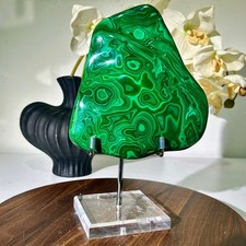 5.68LB Natural glossy Malachite transparent cluster rough mineral sample picture
