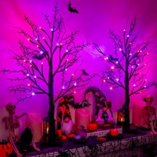 Indoor 2 Pack 24 Inch Halloween Black picture