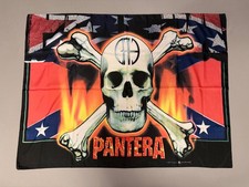 Pantera Cowboys from Hell Skull Logo 41.5
