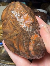 14.55oz Lake Superior Agate Rare Oddball Rough Display Specimen picture