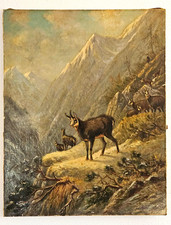 Antique Original Signed Julius Richter Munich 19thC Oil Painting Mountain Goat picture