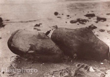 1900/72  EDWARD CURTIS Photo Gravure NATIVE AMERICAN INDIAN Floats Whale Fishing picture