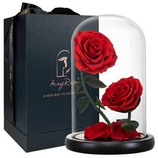 AINYROSE Gifts for Women Forever Preserved Red Rose,Birthday Valentines Day Gift picture