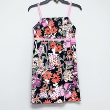 Lily Pulitzer dress picture