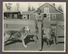 ALLEN FARINA HOSKINS Black Child Actor Our Gang 1924 Photo It's A Bear Farm picture