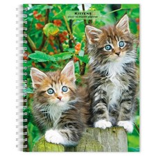 Kittens | 2027 6x7.75