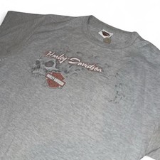 Vintage Hanes Beefy-T Harley-Davidson Greenville Flaming Skull T-Shirt picture