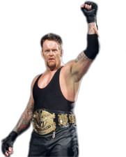 WWE RARE UNDISPUTED TITLE VERSION 1 picture