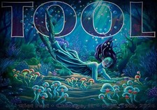 Tool Band Poster Riot Fest Chicago IL Diver Art Concert Tour Wall Decor 2026 picture