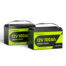 2Pcs 12V 100Ah 100A BMS Lithium LiFePO4 Battery Deep Cycles For RV Solar Marine picture