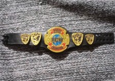 Mattel WWE Elite ECW World Television Championship Title Belt For 6
