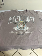 Hollister Men’s Gray Pacific Coast Graphic Print Crew Neck T-Shirt M picture