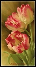 Needlework Crafts Embroidery DIY Counted Cross Stitch Kits 14 ct - Tulips II picture