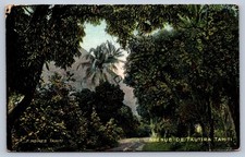 K65/ Foreign RPPC Postcard c1910 Avenue de Tautira Tahiti Trees Mountain 225 picture