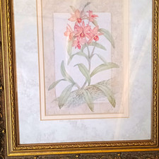 Framed Matted Floral Botanical Art Print Pink Flowers Portrait Orientation picture