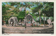 Shrine Mont Orkney Springs VA Cathedral Shrine Transfiguration Postcard picture