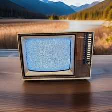 VTG Sears Roebuck 1984 SR2000 14” Wood Grain CRT TV Model 564-40390450 No Remote picture