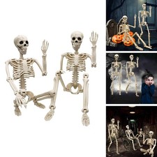 2 Pack 36