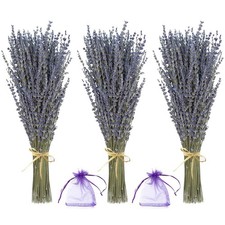 (3 Bunches) Lavender Bundles - Natural Dried Flowers for Home Decor, 150g picture