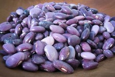 Mexican Grande Ayocote Morado Bean Seeds (30) / Runner Bean / Super Rare / picture