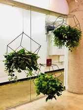 STEEL HANGING PLANT HOLDER / HAND MADE IN LA / SUPER COOL picture