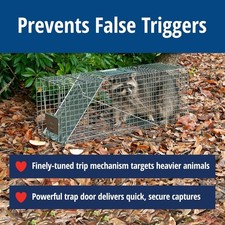 Havahart Large 1-Door Live Animal Trap for Raccoons, Cats, Bobcats, Beavers picture