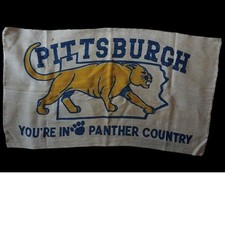 Vintage Pittsburgh Panthers Banner Youre In Panther Country Woven Tapestry 24x42 picture