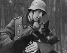 WW2 8x10 Photo GERMAN SOLDIER WITH HIS DOG O6544 picture