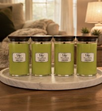 New Woodwick Summer Melon Set Of 4 picture