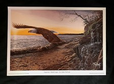 Bald Eagle Art, Signed Print, Lake Superior, MI, Upper Peninsula, Porcupine Mts picture
