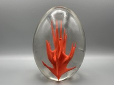 Signed VENINI Murano Glass Paperweight “Fiammati Corallo” Fulvio Bianconi c.1969 picture