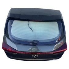 2019-2021 Lexus UX200 Liftgate Manual Lift Green 6X4 Factory OEM Replacement picture