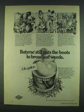 1978 Amchem Butyrac 200 Weedkiller Ad - Broadleaf Weeds picture