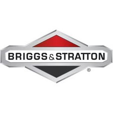 Briggs & Stratton Tiny Scan | 19626 picture
