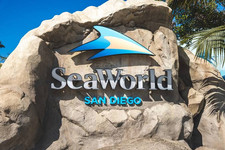 Sea World SeaWorld San Diego Tickets picture