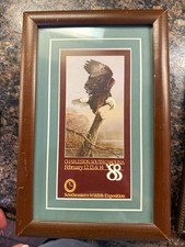 Southeastern Wildlife Exposition Framed Eagle Print, Landscape 7 x 19 in picture