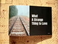 What A Strange Thing To Love Freight Train Graffiti Zine Issue 1 2026 picture