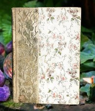 1896 Antique EDGAR ALLAN POE WEIRD TALES HORROR MACABRE Altemus Petit Trianon picture