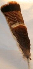 Smudging Feather Ceremony Prayer Hand Wrapped Native American Indian Ritual picture