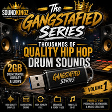 Hip Hop Drum Library 2GB USB, Thousands of Sounds Hip Hop, Trap, EDM, Loops picture