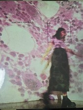 Sometimes, Forever by Soccer Mommy (Record, 2022) Brand New Sealed picture