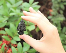 Black Obsidian Arrowheads, Black Obsidian Crystals, Stone Arrowhead picture