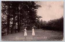 Wallings Grove Oneonta NY New York Postcard 1907 Pub by Oneonta Department Store picture