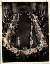 HOLLYWOOD ZIEGFELD GIRLS CHEESECAKE STUNNING PORTRAIT 1920s ORIG PHOTO MA47 picture