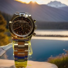 Addiesdive AD2552 Vintage Chrono-Textured Brown Dial, Stainless Steel 37mm picture