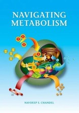 Navigating Metabolism picture