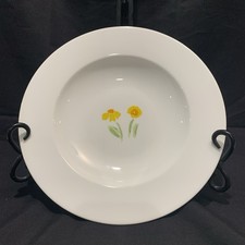 Lovely Crate & Barrel Anna’s Artistry 9.25” Large Rim Soup Bowl Bone China picture