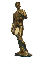 Michelangelo’s David Inspired Statue picture