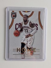 2016-17 Panini Complete #13 LeBron James Home Color Match Cavaliers Champion MVP picture